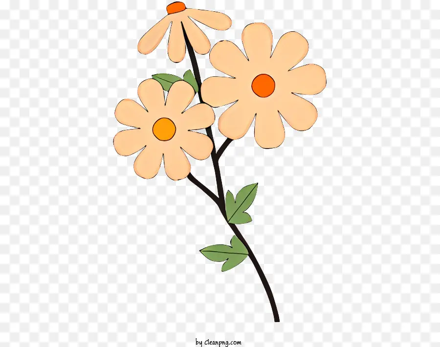 Blüten weiße Blütenblätter Orangenblätter gelber Zentrum grüne Blätter - Eine farbenfrohe Blume mit weißen und orange Blütenblättern