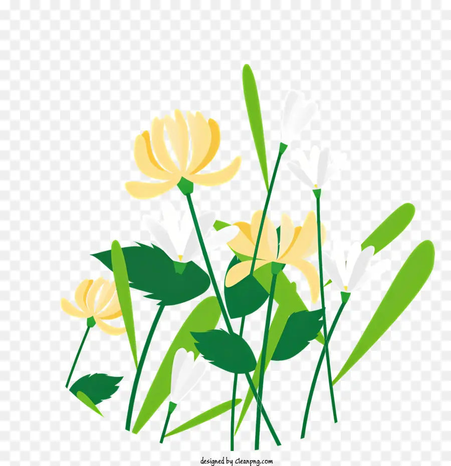 Fiori Fiori bianchi e gialli Stilico illustrazioni Field Simmetrico - Illustrazione di fiori bianchi e gialli in campo