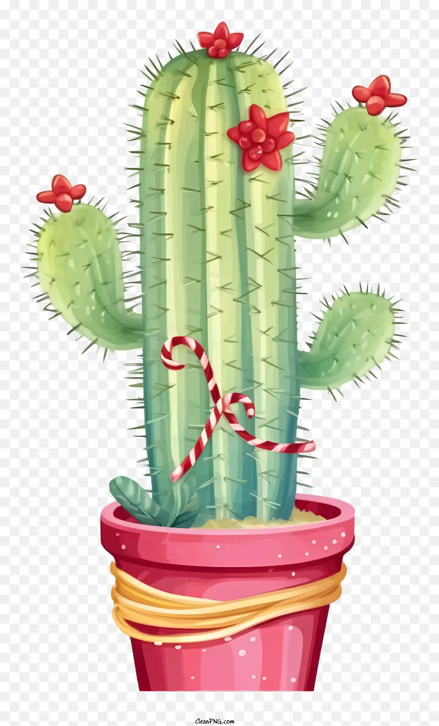 Kaktus - Kaktus mit Blumen in rosa Topf und Hut
