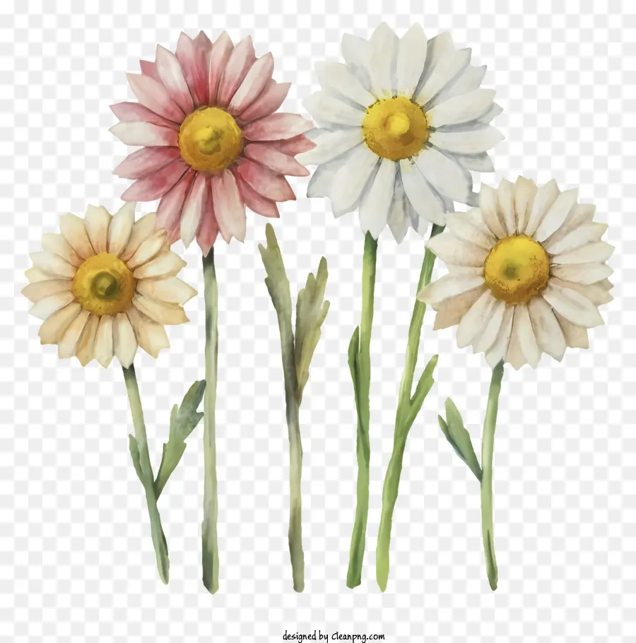 Gesteck - Drei Blumen, weiß und rosa, richtungsgesichts unterschiedliche Richtungen