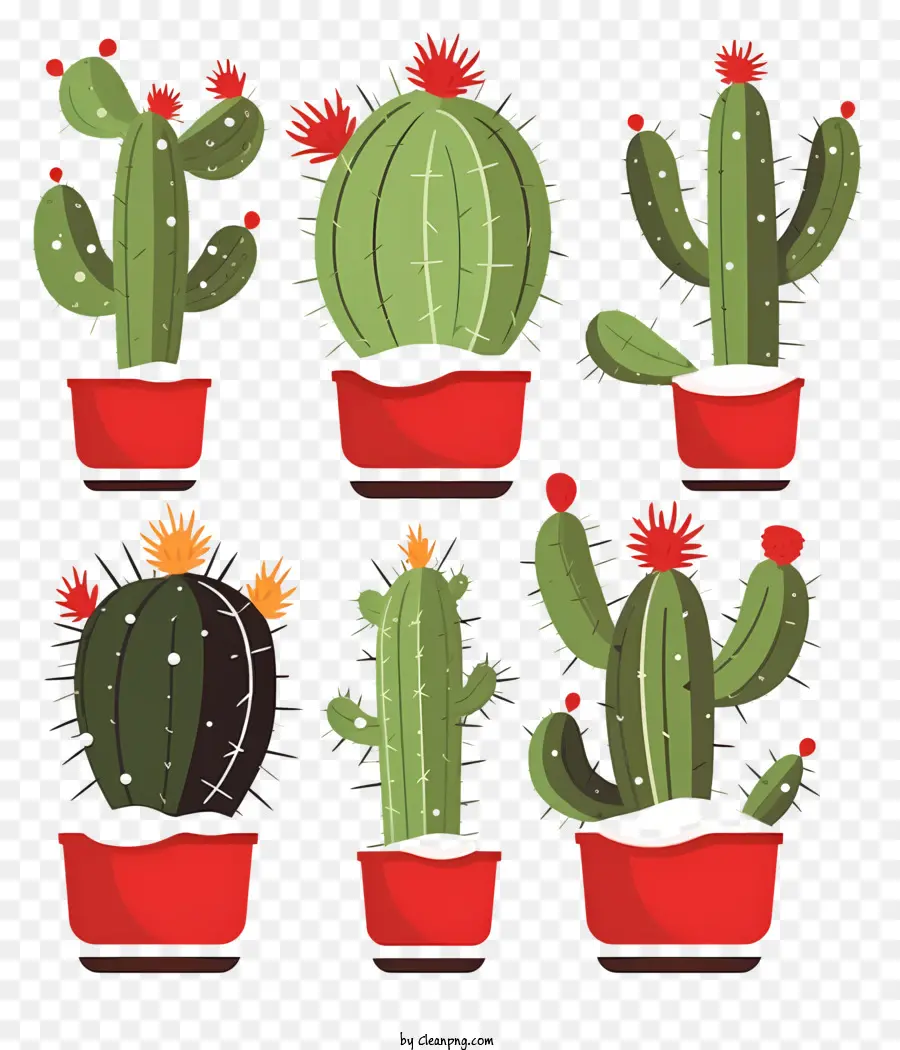 Cacti Pots Đen Nền nền màu đỏ sắp xếp - Bộ sưu tập Cacti đầy màu sắc trên nền đen