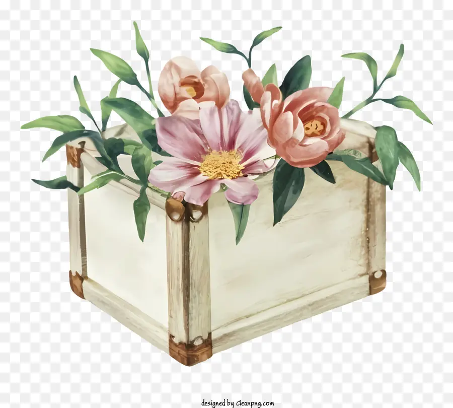 Hộp gỗ màu nước vẽ tay màu hồng và màu trắng - Hình minh họa màu nước vẽ bằng tay của hoa mẫu đơn trong hộp