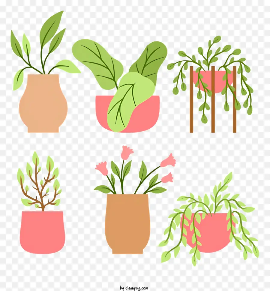 piante in vaso foglie verdi foglie rosa sfumature di sfumature di verde rosa - Piante in vaso in stile piatto in rosa e verde