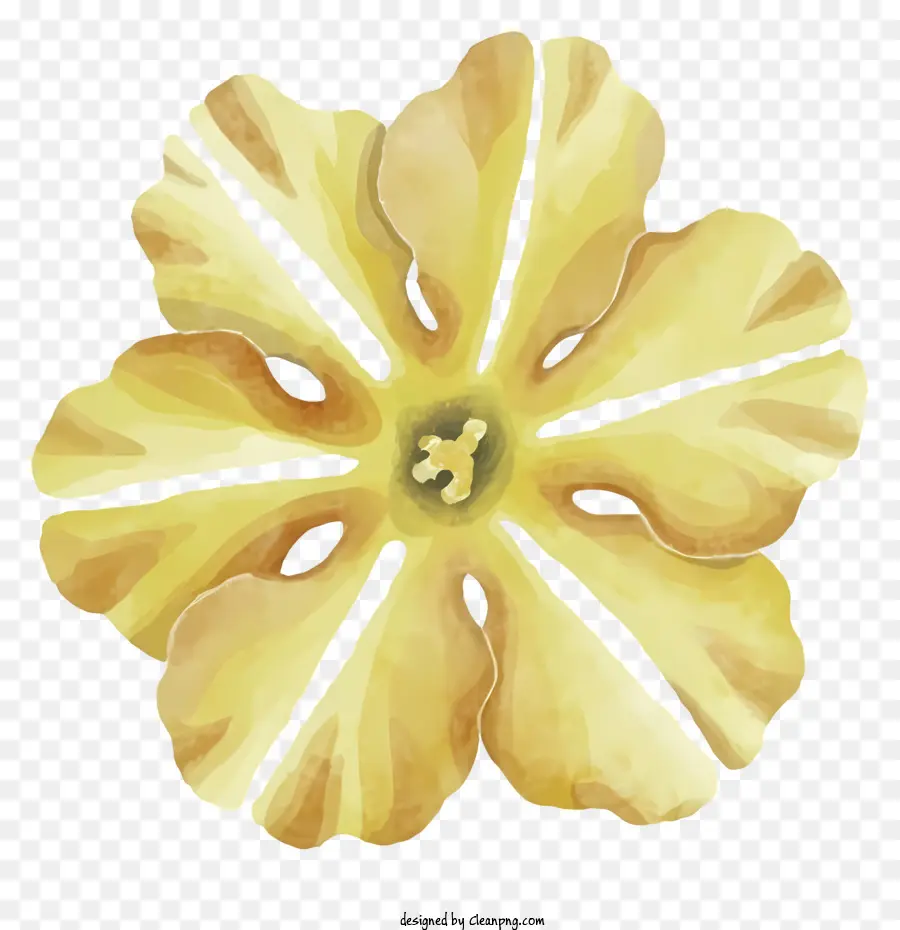 hoa hình hoa hình hoa lớn màu vàng với trung tâm mở các chấm nhỏ màu trắng trên phông nền màu đen - Hoa lớn màu vàng thực tế với các chấm trắng