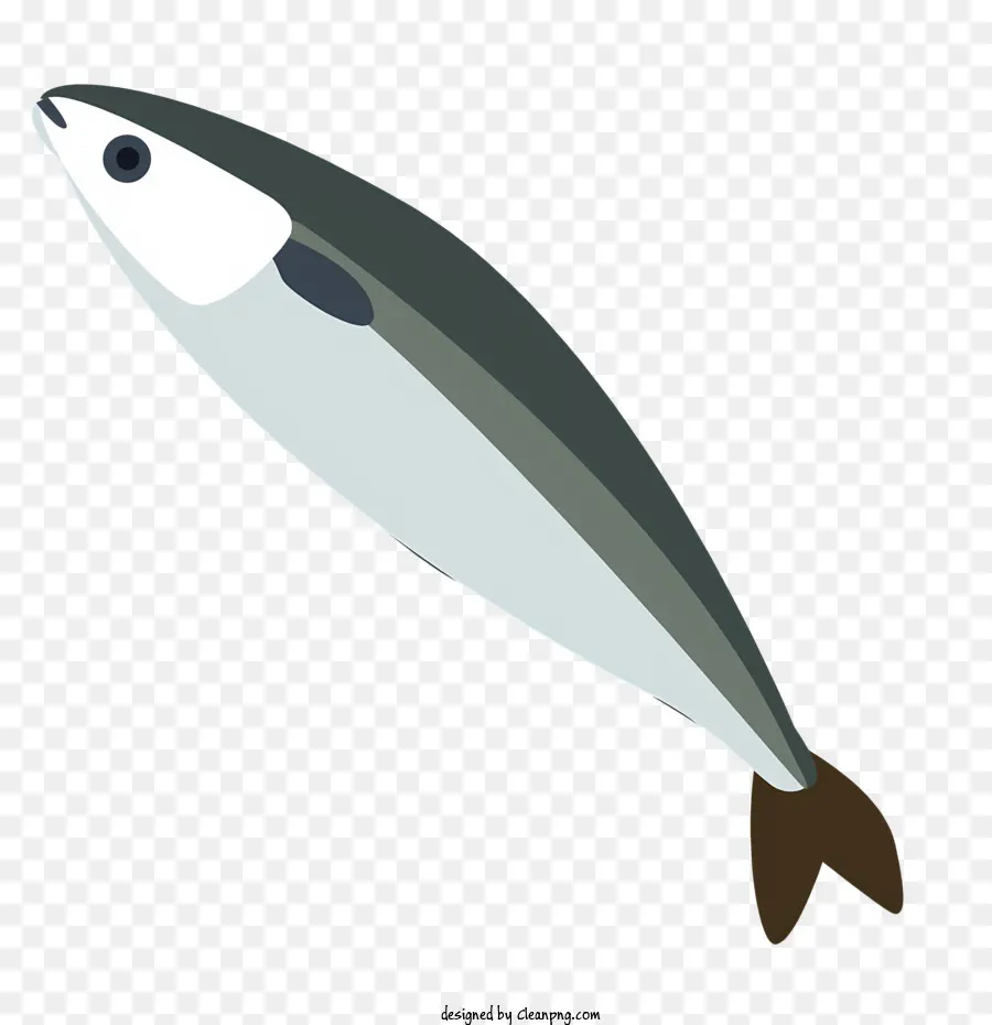 Fisch grauer Fisch weißer Fisch ovaler Fisch Fisch mit zwei Augen - Ein grauer ovaler Fisch mit schwimmenden Augen