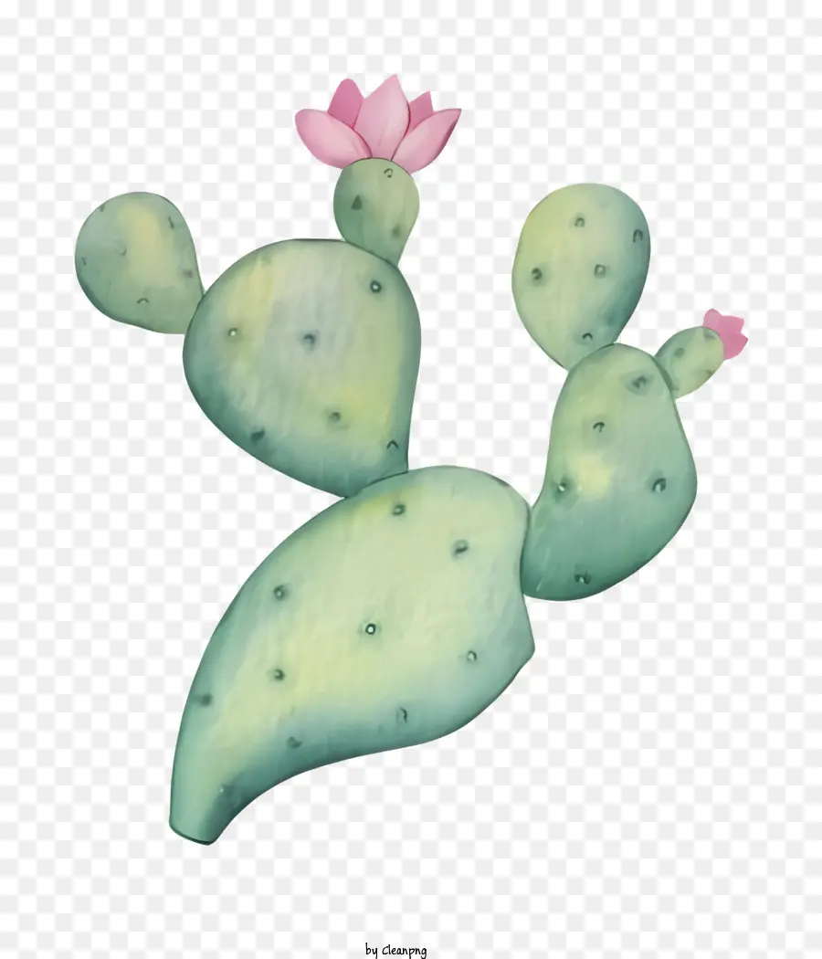 potted cactus white cactus yellow pollen pale green leaves pink flower petals