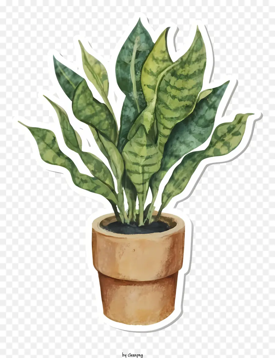 pittura ad acquerello foglie succulente di pianta in vaso verde - Pittura ad acquerello di pianta succulenta in vaso