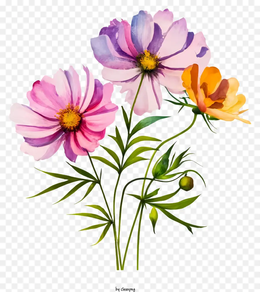 acquerello fiori - Vibranti fiori ad acquerello su uno sfondo nero
