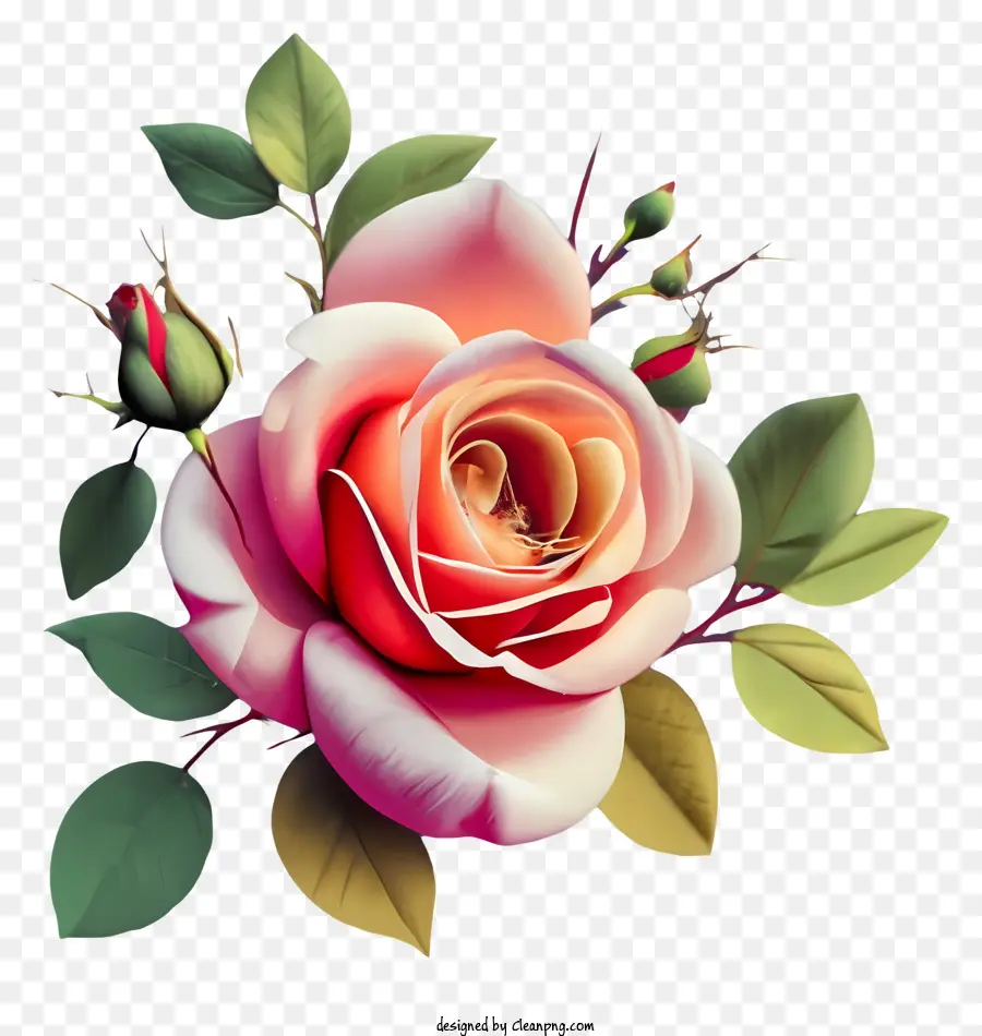 rosa rose - Realistische rosa Rose mit lebendiger Farbe und lebensechten Blättern