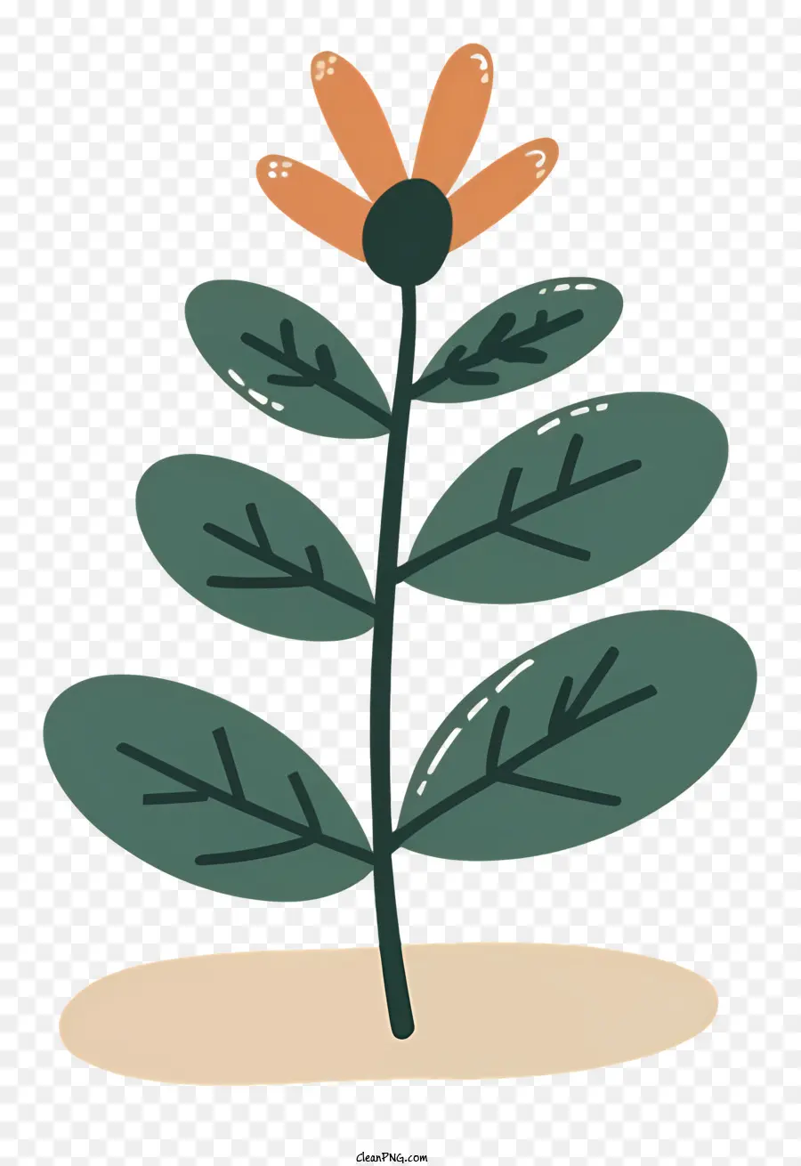 Blume Symbol - Kleine stilisierte Blume mit orange und weißem Blütenblatt