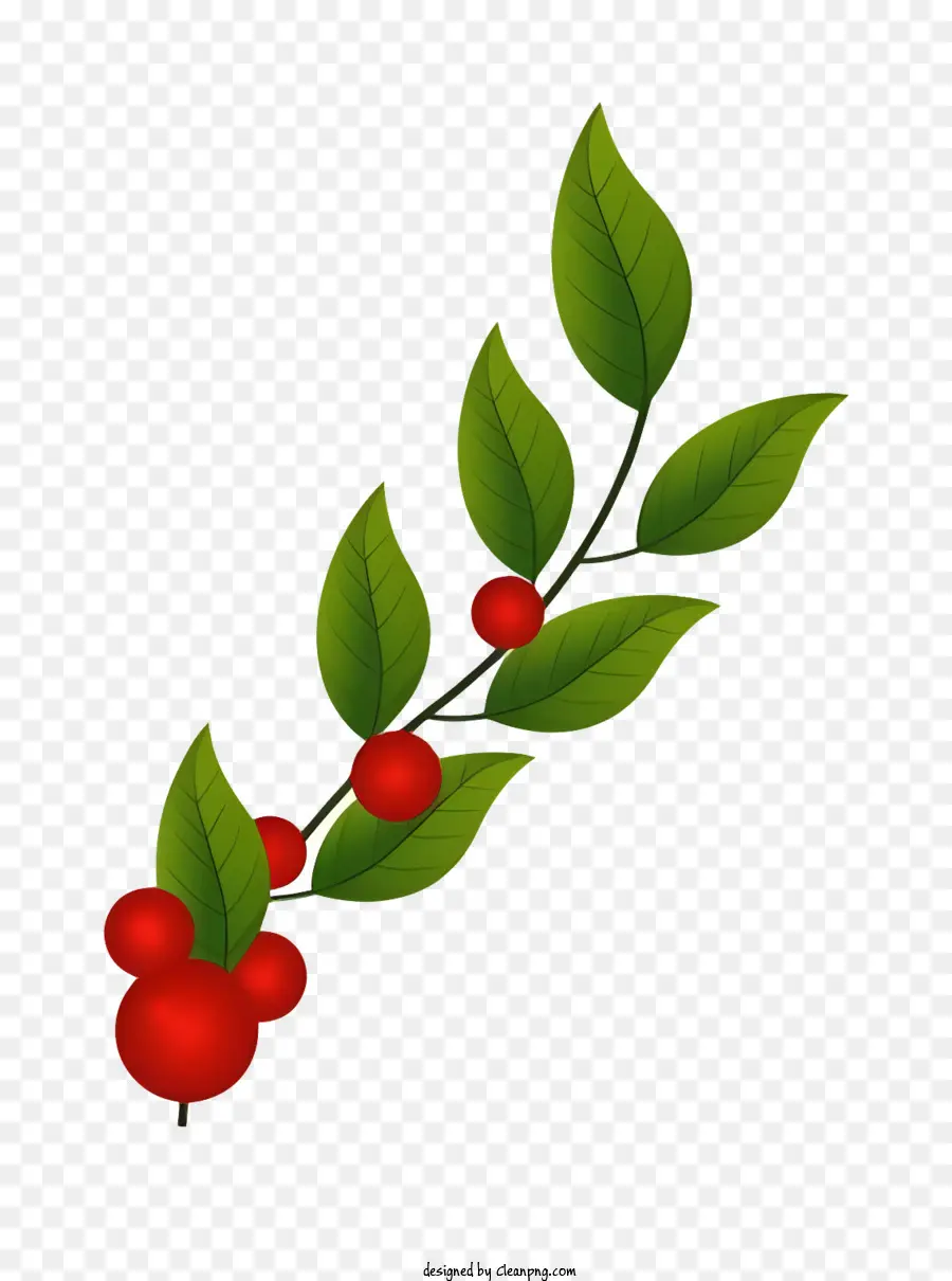 bacche rosse cluster ramo di ramo verde foglie frutta - Bacche rosse sul ramo con foglie verdi