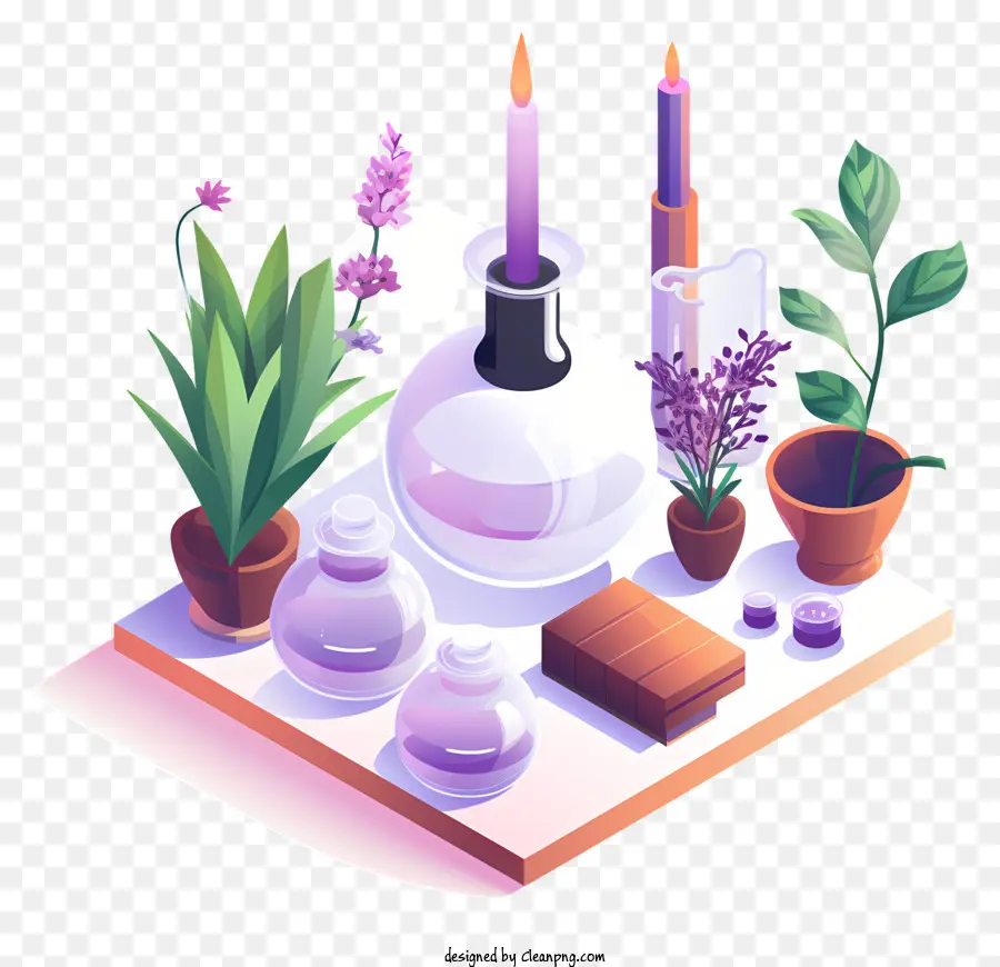 Pflanzen Blumen Topfpflanzen Kräuter Kerzen - Tablett mit Pflanzen und Kerzen erzeugen Ruhe