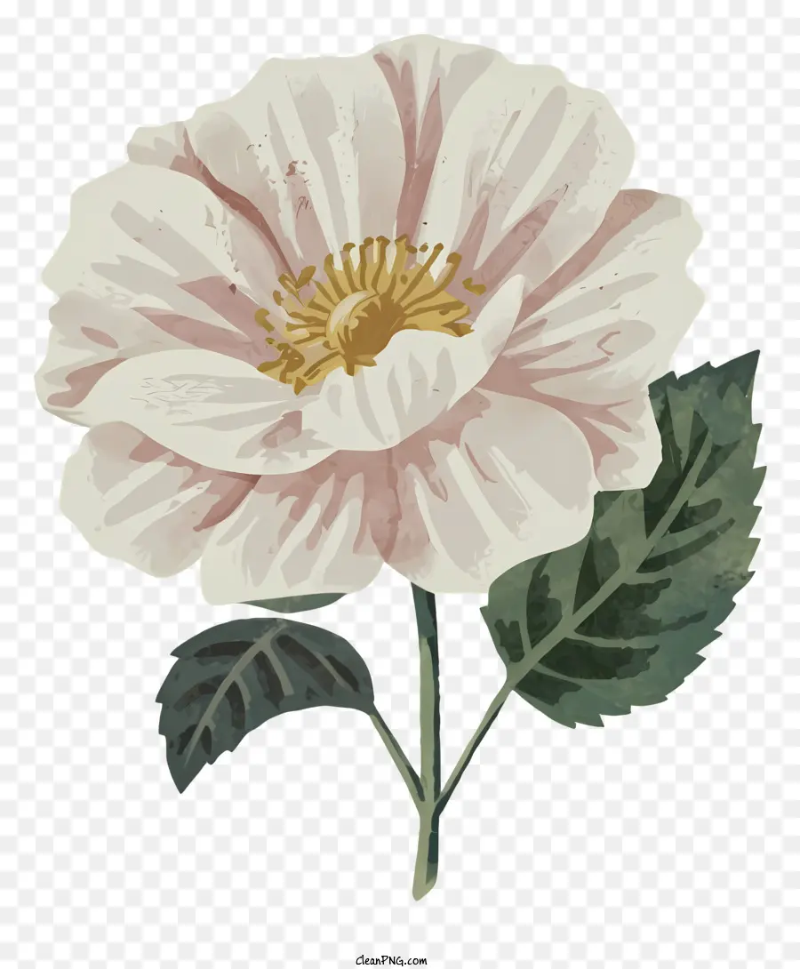 fiore bianco - Il fiore bianco simboleggia purezza, amore e devozione