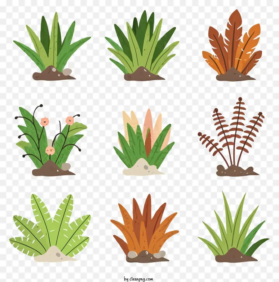 Collezione di piante Piante verdi e marroni varie forme e dimensioni foglie ed erba grandi e piccole piante - Collezione di varie piante in diversi colori