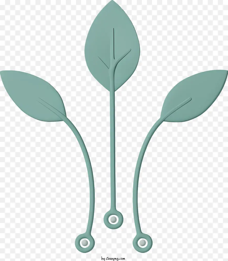 Plant leaf