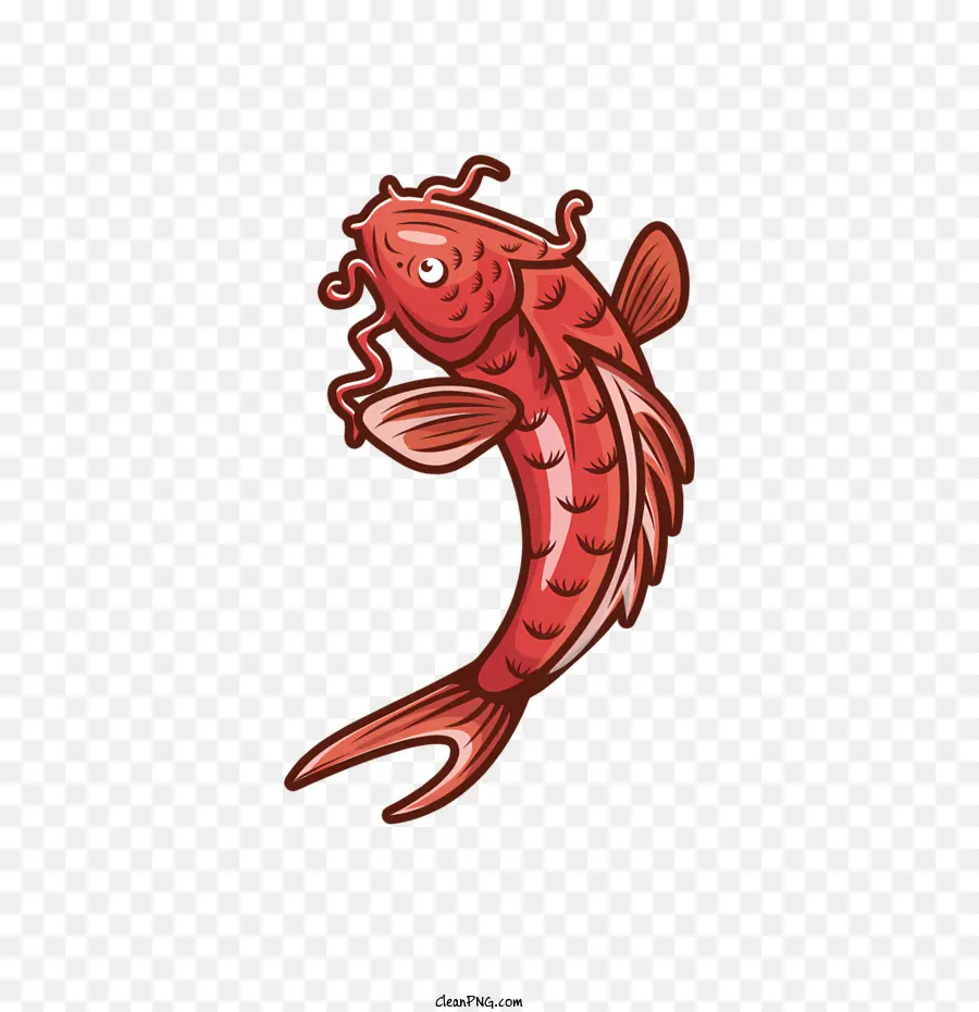 rote Fisch offener Mund Langer Schwanzschwimmfisch wirbelnder Wasser - Großer roter Fisch mit offenem Mund schwimmen