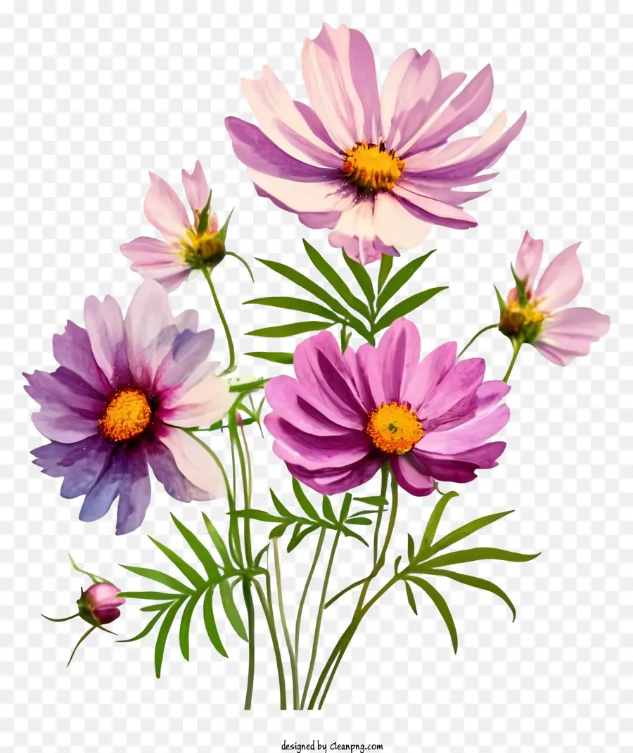 vaso di fiori - Vaso di fiori rosa, viola e bianchi su sfondo nero