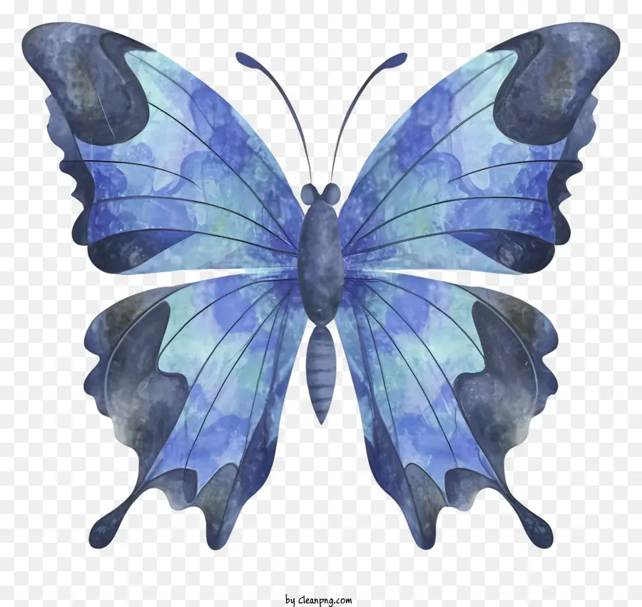 farfalla blu ali grandi ali nere corpo a colore blu profondo corpo lucido - Farfalla blu realistica e lucida con grandi ali curve