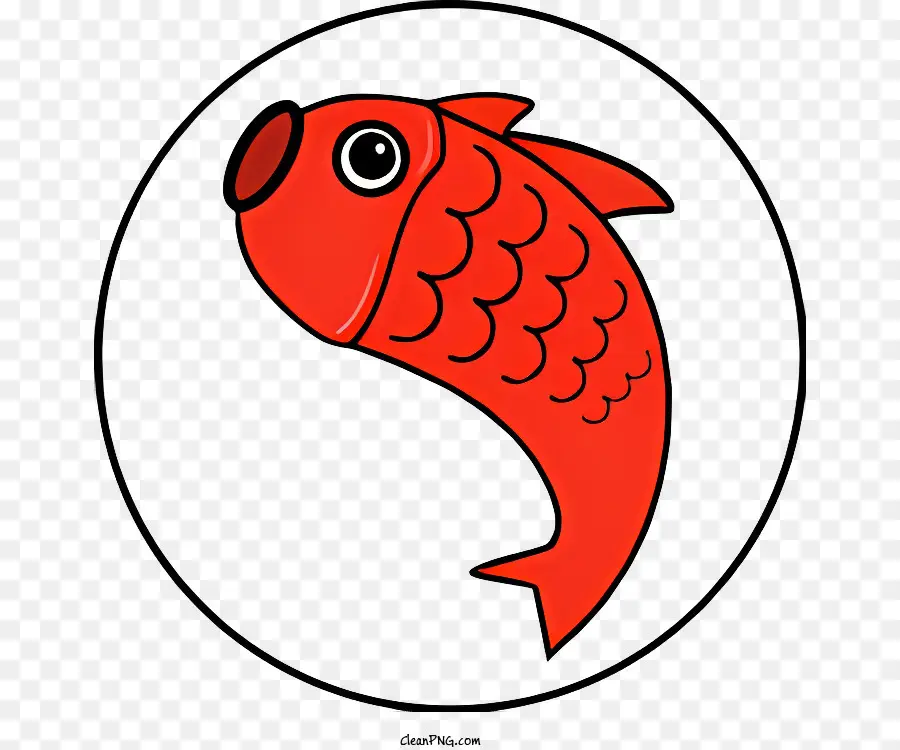 Pesce rosso stare in aria a bocca aperta a bocca grande pinne fluenti - Pesce rosso a bocca aperta, galleggiante in aria