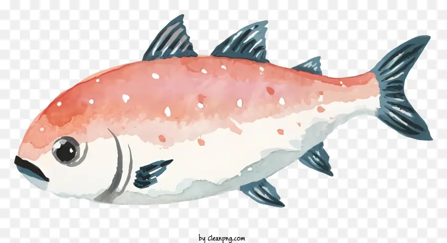 Fischblaue Schuppen rote Schuppen große Mund große Augen - Fisch mit blau und roter Schuppen, großer Mund, kleiner Größe