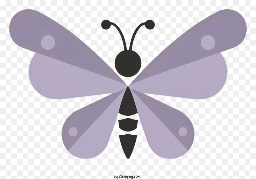 Flying Butterfly - Lila Schmetterling mit dunklen und hellen Flecken, die auf der Pflanze landen wollen