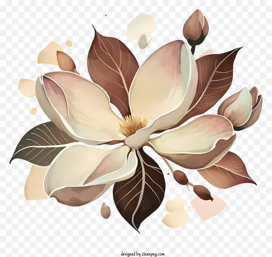 illustrazione ad acquerello di grandi fiore colorate fiore nera crema petali di crema - Illustrazione dettagliata dell'acquerello di un fiore vibrante