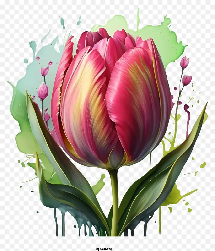 fiore di stelo verde di tulipano rosa in piena fioritura a sfondo verde schizzi di vernice rosa e arancione - Tulipico rosa con petali a forma di cuore, stile ad acquerello