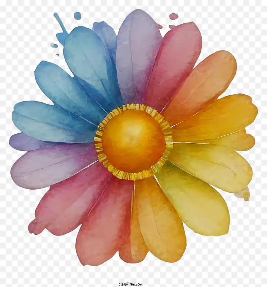 Bức tranh màu nước đầy màu sắc Daisy Yellow Daisy Orange Daisy Pink Daisy - Daisy đầy màu sắc với cánh hoa héo và trung tâm tối