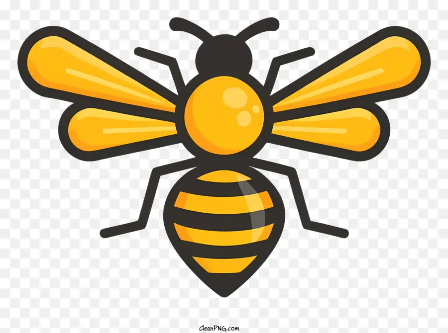 yellow bee black stripes bee with wings hind legs bee large black eyes
