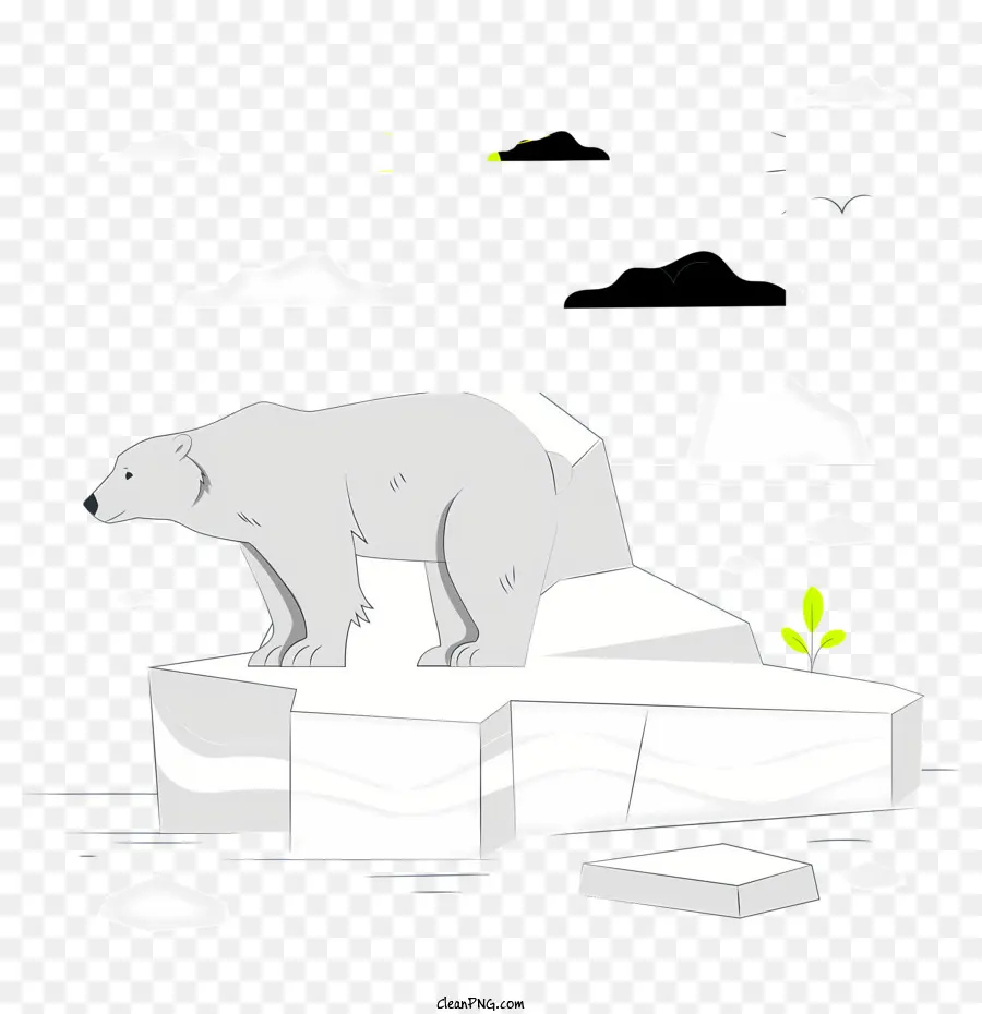 Eisbär Schwarz -Weiß -Eisberg -Ozean Sonne - Polarbär steht auf Eisberg im Ozean