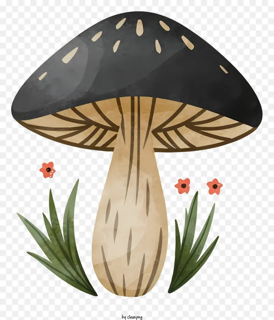 black mushroom round cap mushroom mushroom stalk bowl-shaped mushroom cap white dots on mushroom