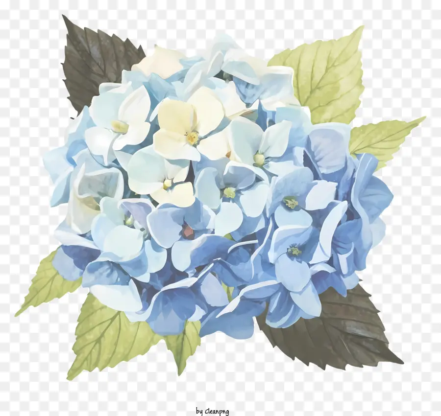 Petali a forma di campana a campana blu e bianca foglie delicate petali di blu chiaro foglie bianche argentee - Illustrazione floreale stilizzata blu e bianca nel bouquet