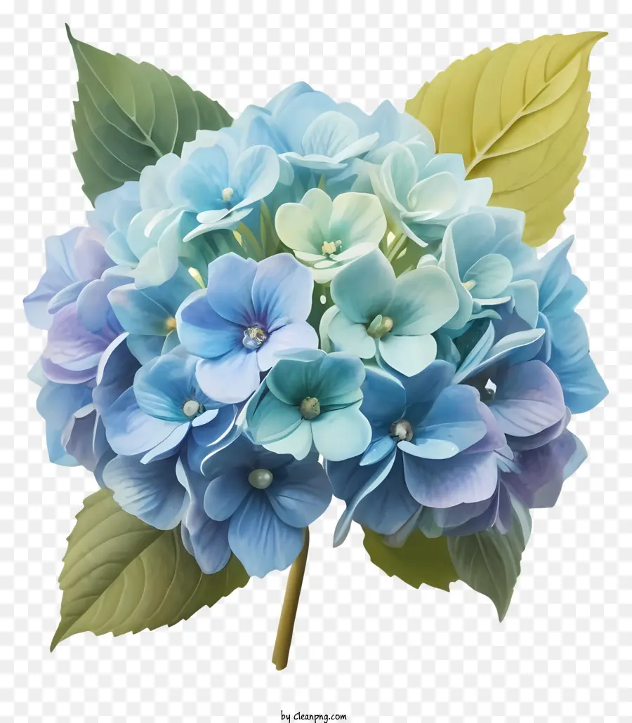 la disposizione dei fiori - Grande fiore blu rotondo con foglie verdi