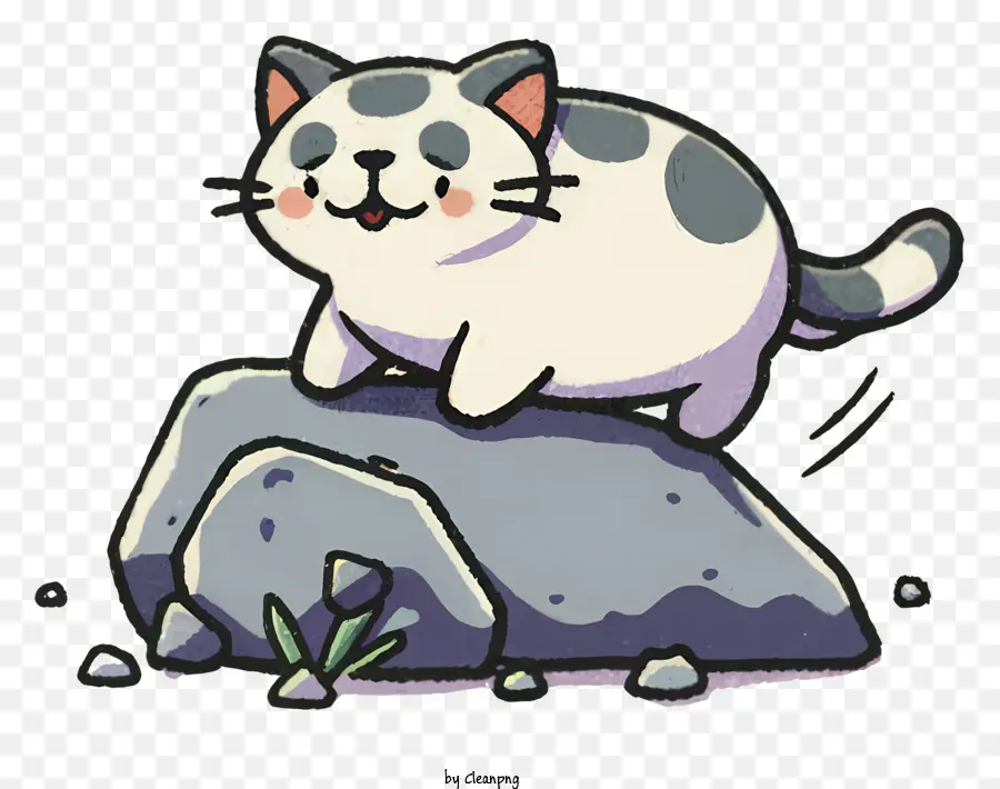 gatto gatto gatto grigio gatto su un gatto soffice di roccia gatto chiuso - Gatto soffice con coda rialzata sulla roccia