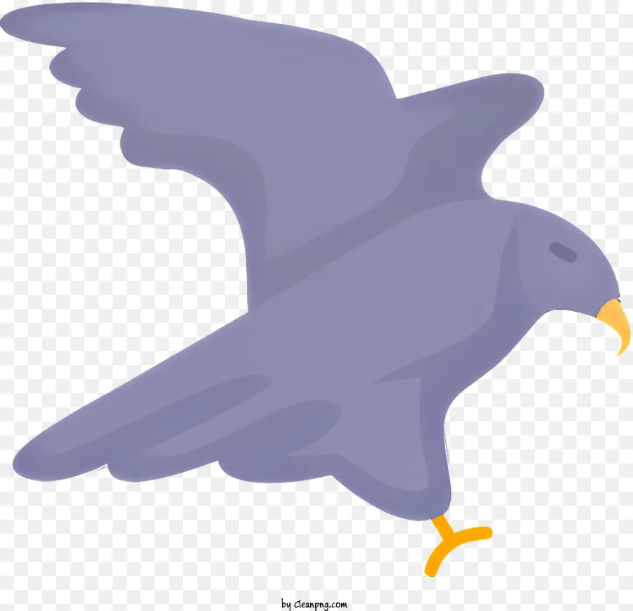 Bird Flying Sky White Black Wings - Grande uccello bianco con ali nere che volano