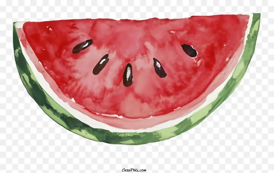 Aquarellmalerei geschnittene Wassermelone Schwarzer Hintergrund weißes Rindegrün Fleisch - Realistische Aquarellmalerei von in Scheiben geschnittener Wassermelone