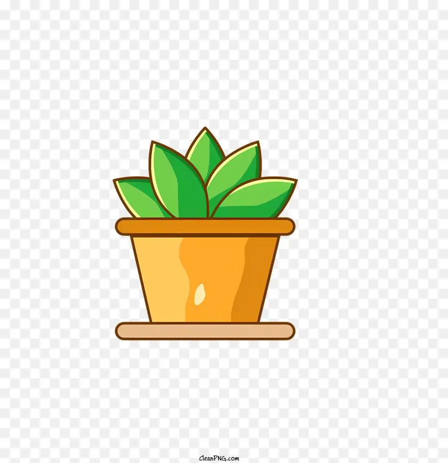 pianta in vaso Ficus Ficus House House Legno Verde Pianta - Immagine: pianta di ficus sul vassoio con etichetta di pianta d'appartamento