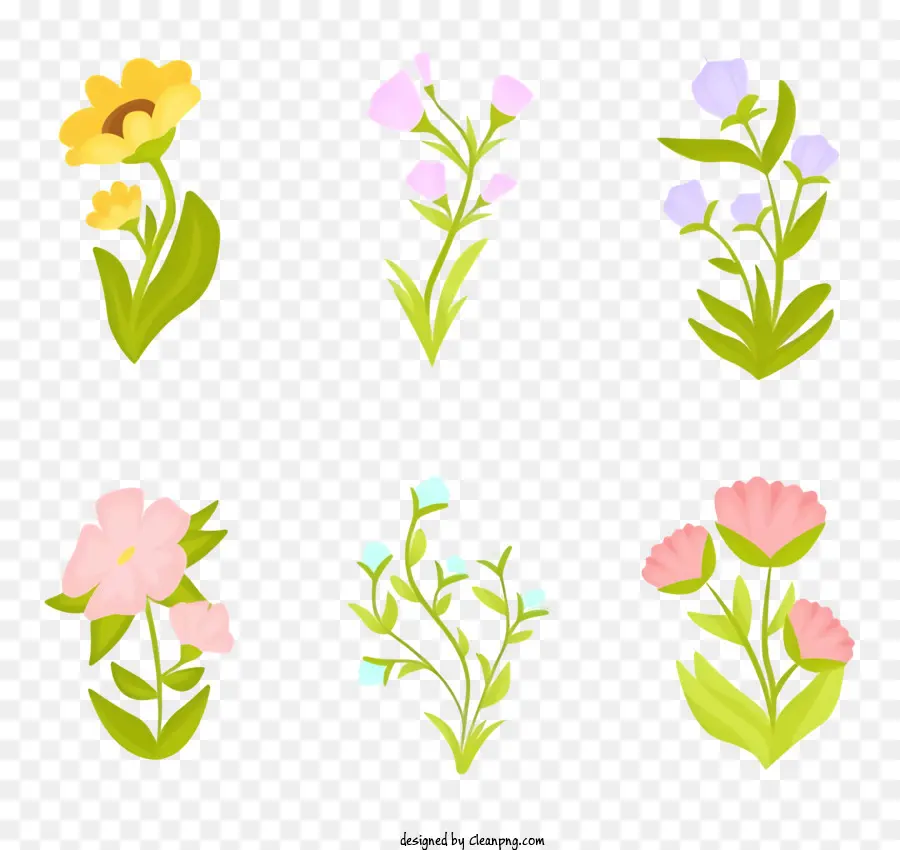 Gesteck - Kreisförmige Blumenanordnung mit verschiedenen Farben für das Designgebrauch
