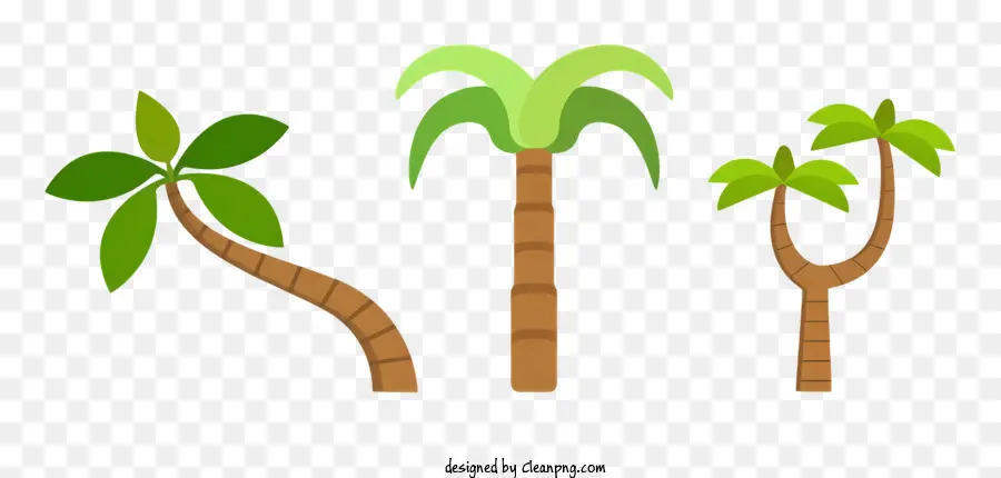 Palmen - Drei Palmen mit gebogenen Stämmen und grünen dreieckigen Blättern