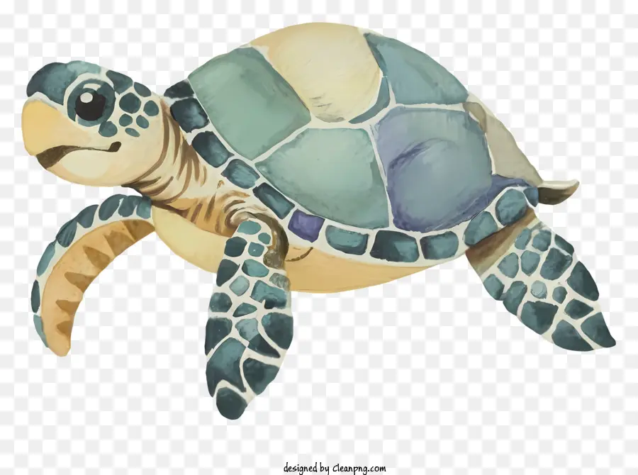 blaue Schildkrötegrün -Schale Ozeanflipper Türkis - Blaue Schildkröte mit grüner Schale schwimmen zum Betrachter