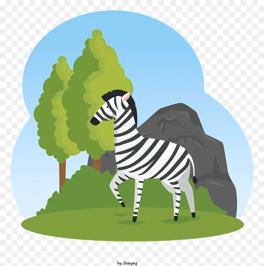 zebra field rocky background black and white striped coat black mane