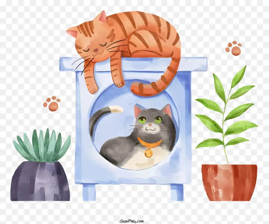 Katzen in Katzentoilchbox schwarzer Hintergrund schlafende Katze Sitzen Katzenkragen - Zwei Katzen in Katzentoilette, schlafen und sitzen und Kragen mit Pflanzen in der Nähe auf schwarzem Hintergrund tragen. 
Traumartiger Aquarellstil