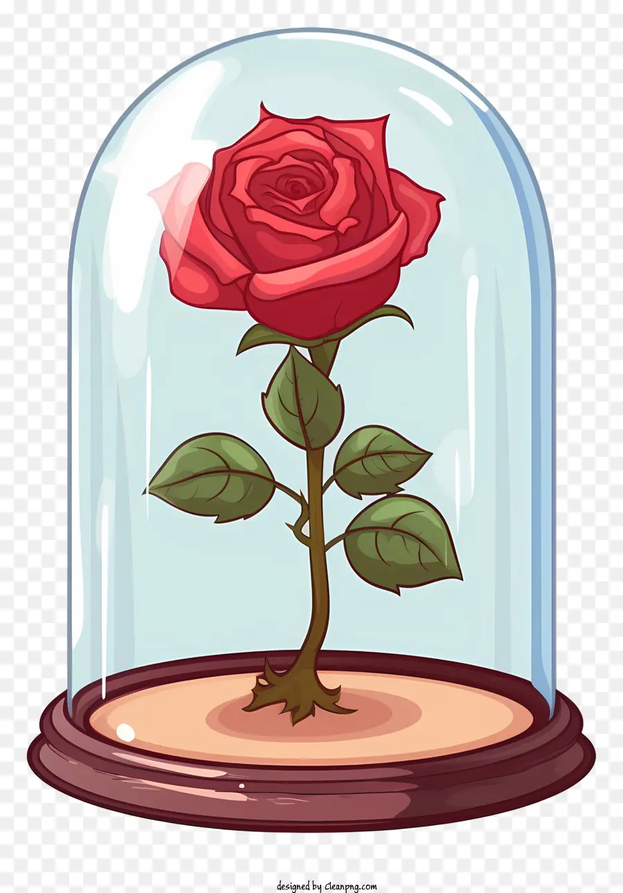 rote rose - Rose in Glaskuppel, von innen beleuchtet
