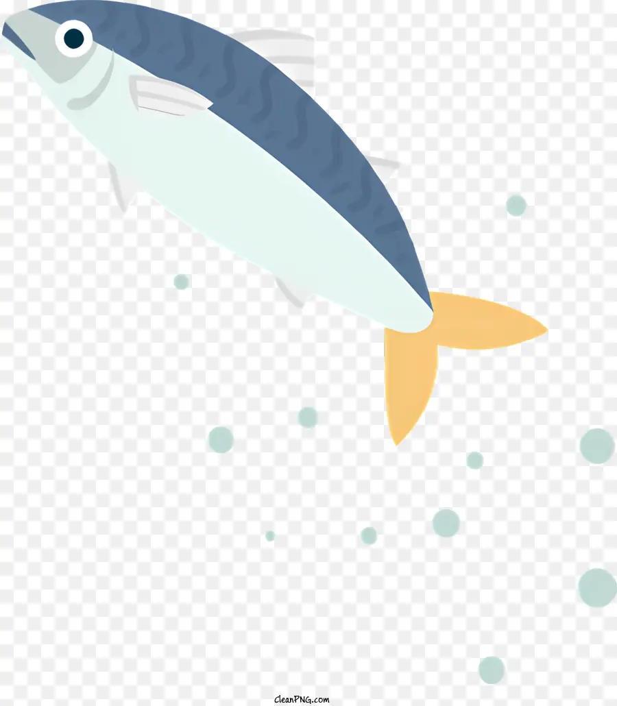 Kleine Fischblau Fisch springen Fisch lange Nase Fisch Rückenflosse - Kleine blaue Fisch springt aus klarem Wasser heraus
