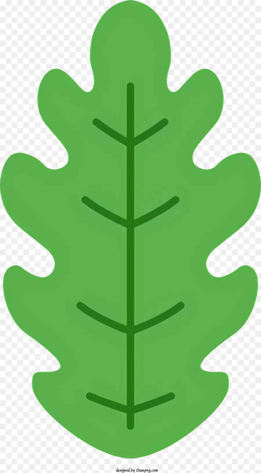 verde foglia - Foglia rotonda grande con estremità appuntita, superficie liscia
