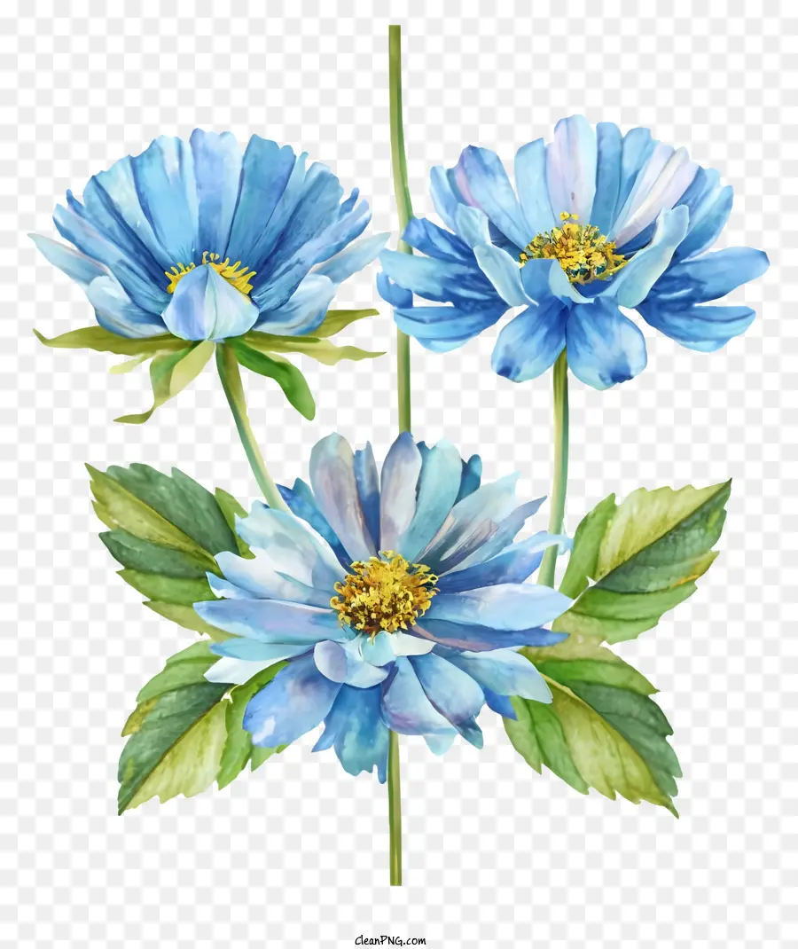 bức tranh màu nước hoa màu xanh trung tâm màu xanh lá cây lá màu đen - Bức tranh màu nước tươi của những bông hoa màu xanh trên màu đen