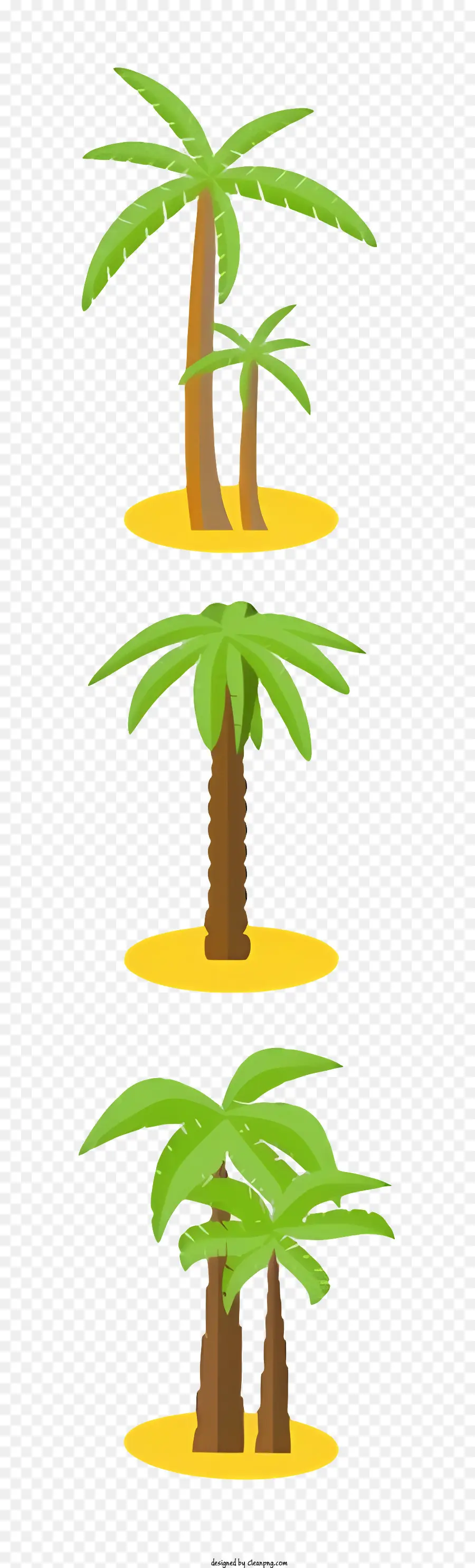Palmen - Realistische Zeichnung von drei Palmen auf Sandy Island