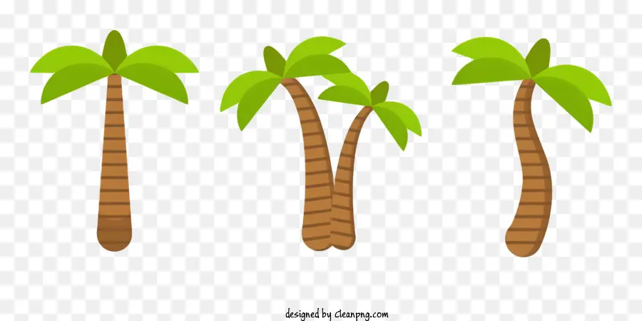 palm Baum Blätter - Palmen mit unterschiedlichen Positionen, Wachstumsstadien