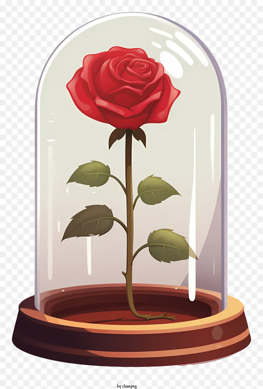 rosa - Rosa rossa in vetro a cupola su sfondo nero