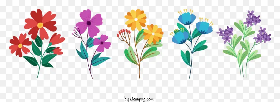 colorful flowers vibrant display varying sizes varying shapes leaves
